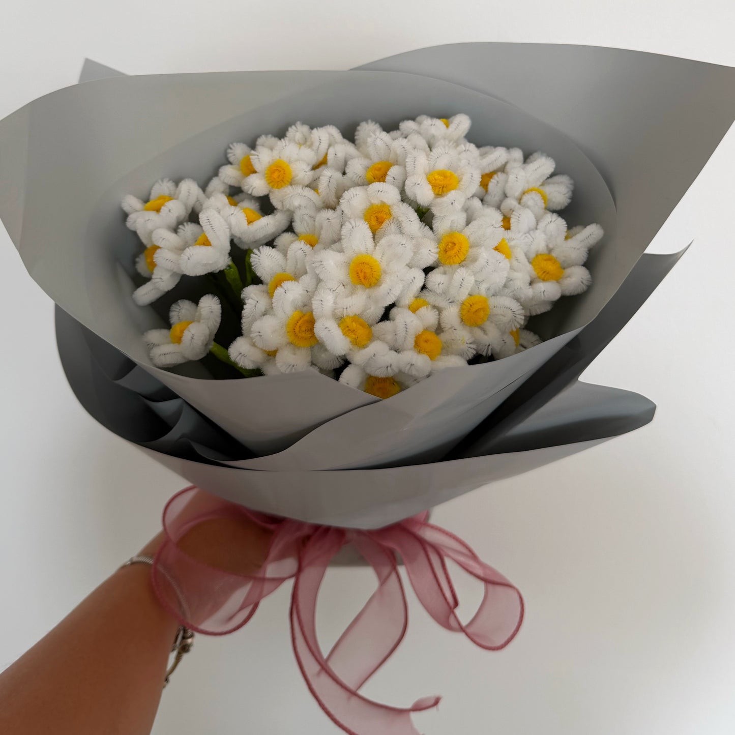 Gänseblümchen
